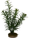 Bush 14 cm