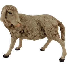 Sheep head turned recommended for statues 30 cm