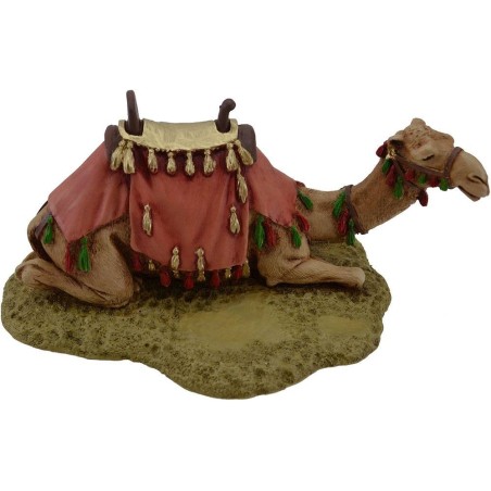 Camel Landi Moranduzzo