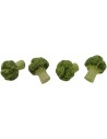 Set 4 broccoli 2.2 cm