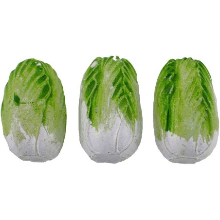 Set 3 chicory 2.6 cm