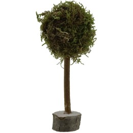 Tree h. 