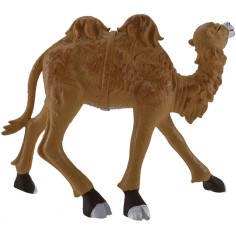 Camel 20 cm Euromarchi 2
