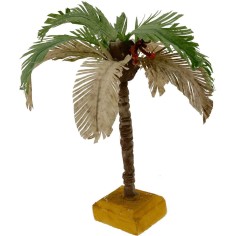 Palm tree with two-tone leaves available in various heights: