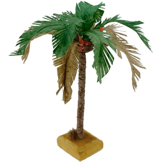 Palm tree with two-tone leaves available in various heights:
