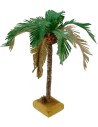 Palm tree with two-tone leaves available in various heights:
