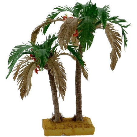 Double bicolor palm 22-15 cm