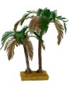 Double bicolor palm 22-15 cm
