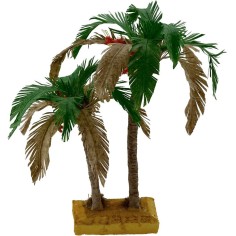Double bicolor palm 22-15 cm 2