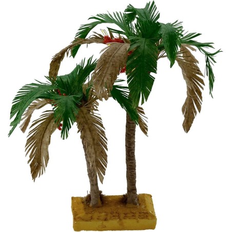 Double bicolor palm 22-15 cm