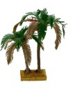 Double bicolor palm 22-15 cm