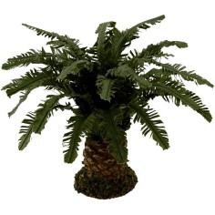 Deluxe dwarf palm available in various heights: