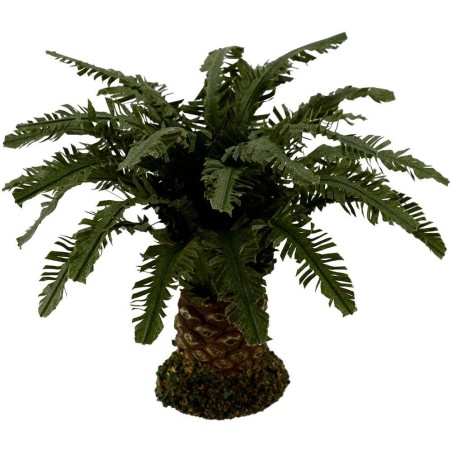 Deluxe dwarf palm available in various heights:
