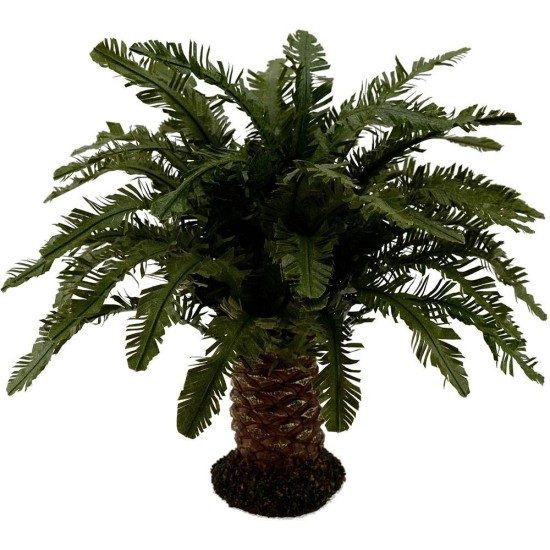 Deluxe dwarf palm available in various heights: