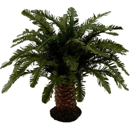 Deluxe dwarf palm available in various heights: