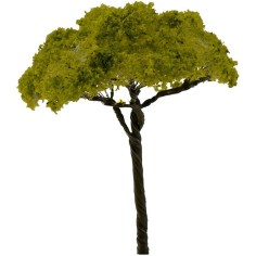 Árbol con injerto de 13 cm belén