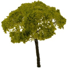 Árbol con injerto de 13 cm belén 2