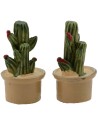 Set of 2 pots with plants cm 3,2 h.