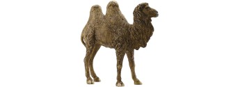 Resin camel 30 cm Pigini