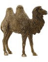 Resin camel 30 cm Pigini