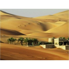 Fondale con paesaggio desertico cm 70x50 Mondo Presepi