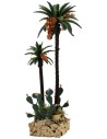 Palmeras y cactus h. 20-12 cm Mundo Pesebres