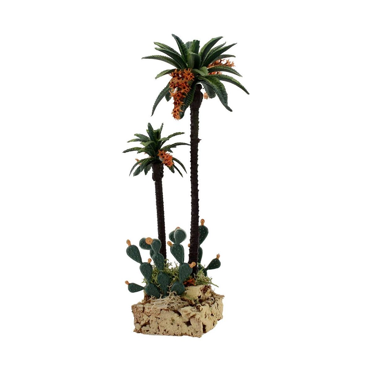 Generico Palme E Cactus H 20-12 Cm 