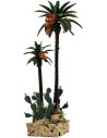 Palme e cactus h. 
