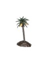 Palm Lux 12 cm