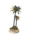 Palms lux 20 cm - 2013