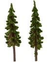Sep 2 cypress cm 6.5 h.
