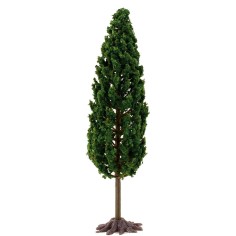 Cypress 13,5 cm