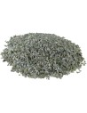 Grava de grano 3-4 mm gris claro aproximadamente 350 gr