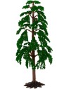 Planta h. 