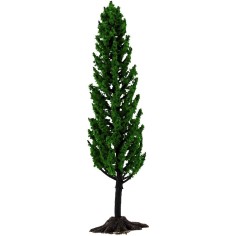 Cypress h. 