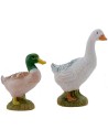 Juego de 5 animales de corral serie 19 cm Fontanini
