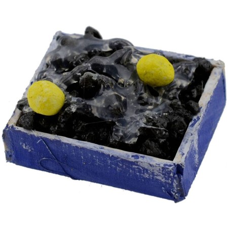 Wooden box with mussels cm 3,5x3x0, 9 h.