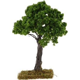 Quercia h.16 cm