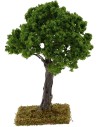 Quercia h.16 cm
