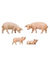 Familia cerdos set 4 piezas serie 12 cm Fontanini