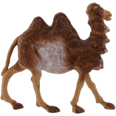 Camel series 16 cm 2