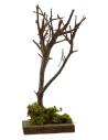 Tree h. 