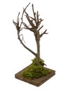 Tree h. 18 cm