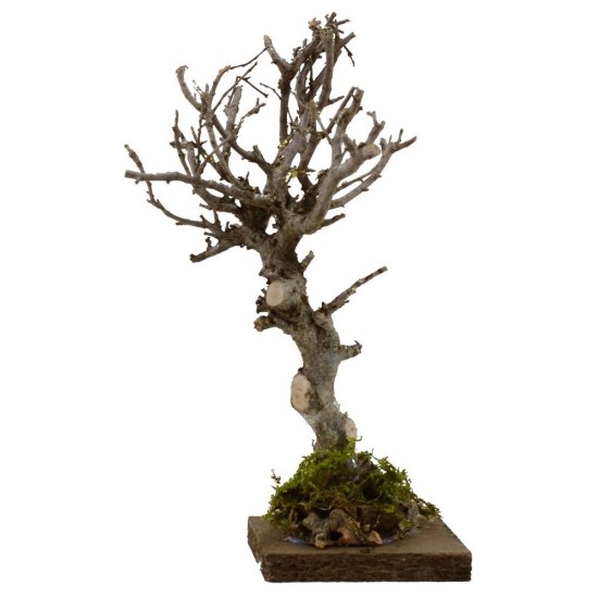 Tree h. 18 cm