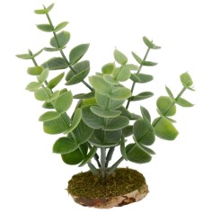 Pianta grassa cm 12x12 h Mondo Presepi