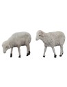 Sep 2 sheep cm 4-4, 5 h. 