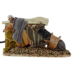 Palestinese che esorta l'asino a rialzarsi con doppio movimento 2