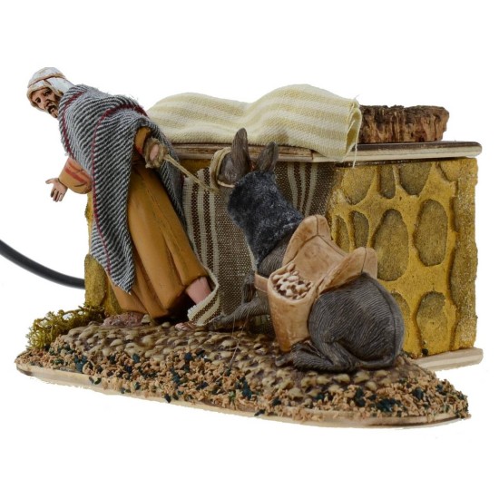 Palestinese che esorta l'asino a rialzarsi con doppio movimento