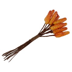 Bunch of corn on the cob