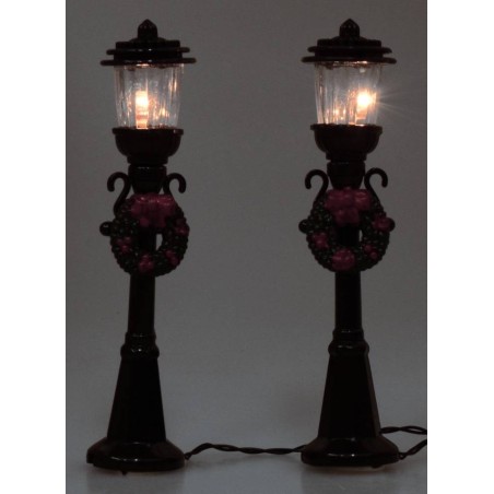 Set of two raspberries for Presepe with light to batteries cm